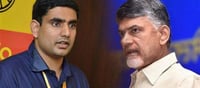 బాబు, లోకేష్ పరువు జాతీయస్థాయిలో తీసిన ఇండిగో సమస్య?